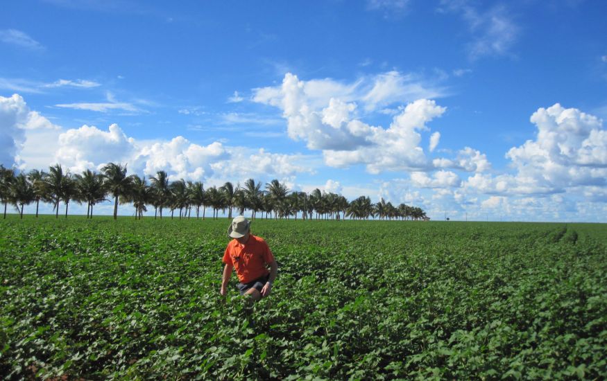 Brazil Ag Tours, Brazil Farm Tours, Brazil Agriculture Tour, Brazil ...