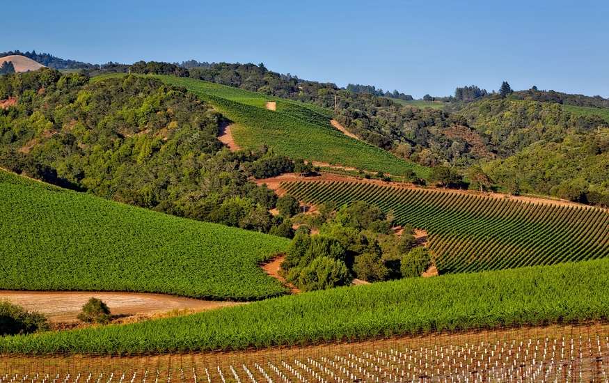 napa valley tours from sacramento