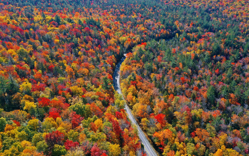 Autumn in New England - Fall Colors Farm Tour