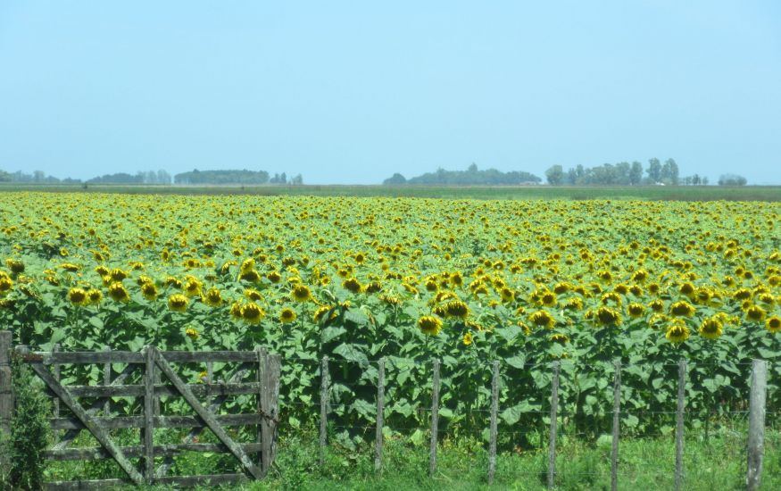 Argentina Ag Tours, Chile Farm Tours, Peru Group Tours, South America